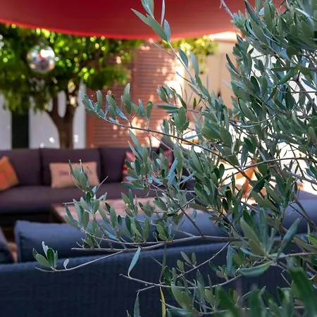 Mediterranean With Sea View In Bormes * Le Pradet
