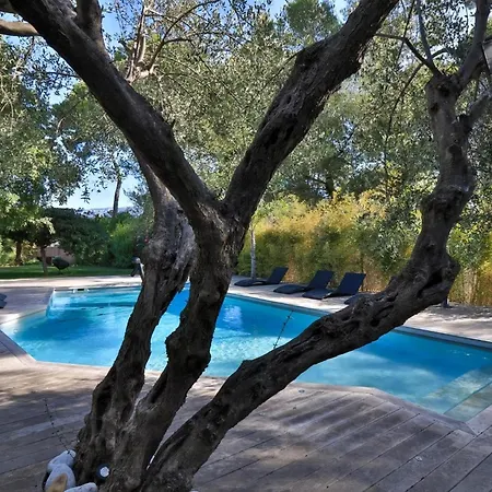 Mediterranean With Sea View In Bormes * Le Pradet